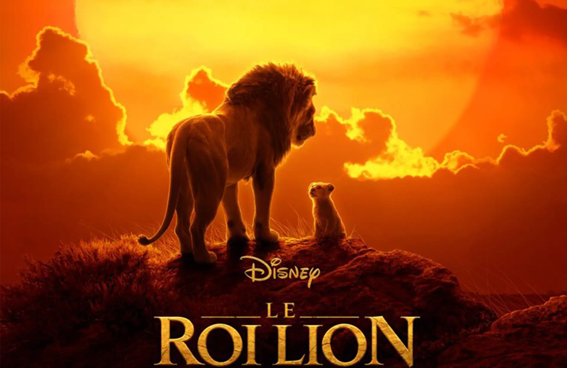 A majestic lion and lion cub watching a vibrant sunset, with the title "The Lion King" in gold letters at the bottom.