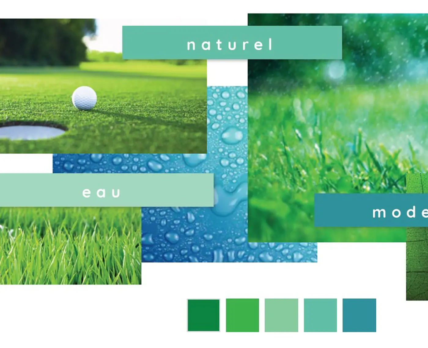 Moodboard composed of natural elements: green lawns, water drops and luminous landscapes, accompanied by a color palette ranging from bright green to aquatic blue.