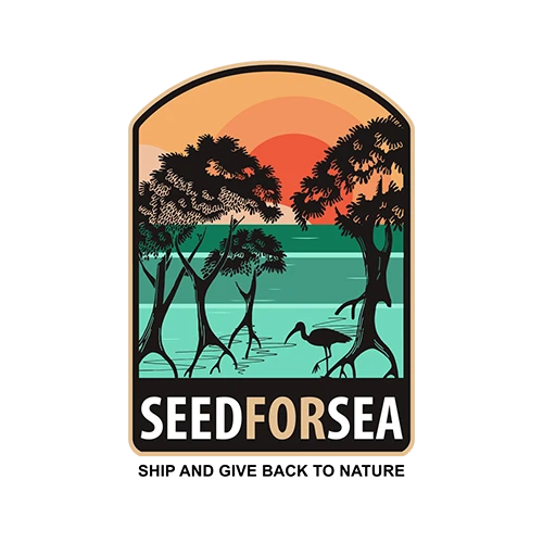 Logotipo de Seed for Sea con ilustración de manglares, garzas, mar turquesa y puesta de sol.